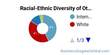 Racial-Ethnic Diversity of Other Management Sciences and Quantitative Methods Majors at Georgia Institute of Technology - Main Campus