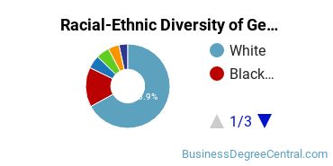 Racial-Ethnic Diversity of General Business Administration and Management Majors at Georgia Southern University