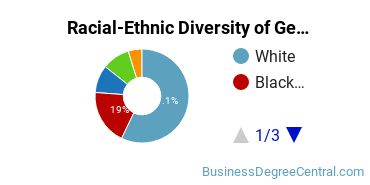 Racial-Ethnic Diversity of General Economics Majors at Georgia Southern University