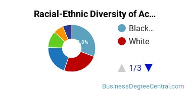 Racial-Ethnic Diversity of Accounting Majors at Georgia State University