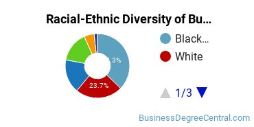 Racial-Ethnic Diversity of Business Economics Majors at Georgia State University