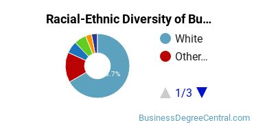 Racial-ethnic diversity of Business Administration & Management majors at Goucher College