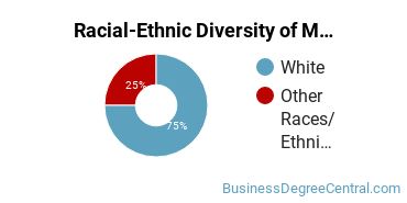 Racial-Ethnic Diversity of Meeting and Event Planning Majors at Grace College and Theological Seminary