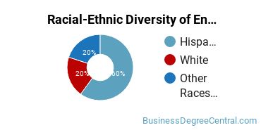 Racial-Ethnic Diversity of Entrepreneurship Majors at Great Basin College