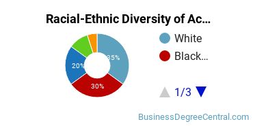Racial-Ethnic Diversity of Accounting Majors at Guilford Technical Community College