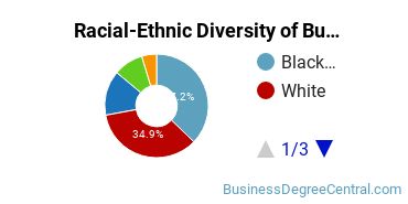 Racial-ethnic diversity of Business Administration & Management majors at Gwinnett Technical College