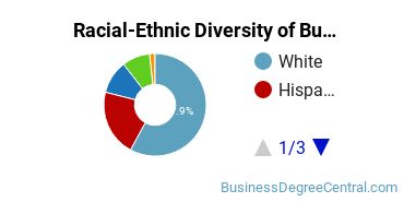 Racial-ethnic diversity of Business Administration & Management majors at William Rainey Harper College