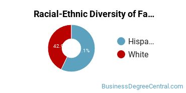 Racial-Ethnic Diversity of Fashion Merchandising Majors at William Rainey Harper College
