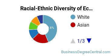 Racial-Ethnic Diversity of Econometrics & Quantitative Economics Majors at Harvard University