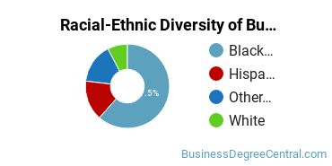 Racial-ethnic diversity of Business Administration & Management majors at Herzing University-New Orleans