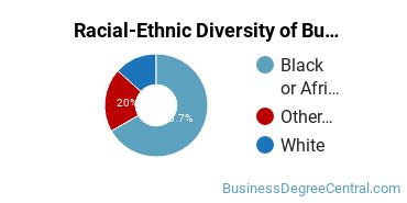 Racial-ethnic diversity of Business Administration & Management majors at Herzing University-New Orleans