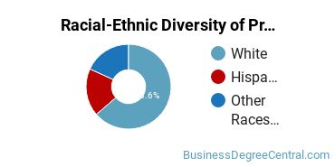 Racial-Ethnic Diversity of Professional Sales Majors at High Point University