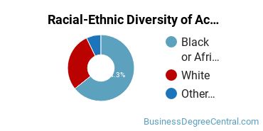 Racial-Ethnic Diversity of Accounting Technology/Technician and Bookkeeping Majors at Hinds Community College