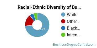 Racial-Ethnic Diversity of Business and Personal/Financial Services Marketing Operations Majors at Hocking College