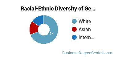 Racial-Ethnic Diversity of General Economics Majors at Hofstra University