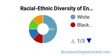 Racial-Ethnic Diversity of Entrepreneurship Majors at Hofstra University