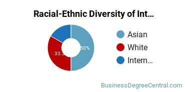 Racial-Ethnic Diversity of International Business/Trade/Commerce Majors at Hofstra University