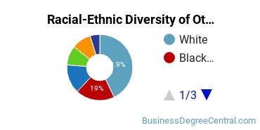Racial-Ethnic Diversity of Other Management Sciences and Quantitative Methods Majors at Hofstra University