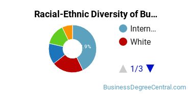 Racial-Ethnic Diversity of Business Economics Majors at Hofstra University