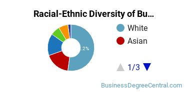 Racial-Ethnic Diversity of Business Management & Marketing Majors at Hofstra University