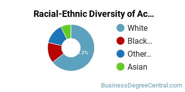 Racial-Ethnic Diversity of Accounting Majors at Holy Family University