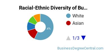 Racial-ethnic diversity of Business Administration & Management majors at Holy Family University