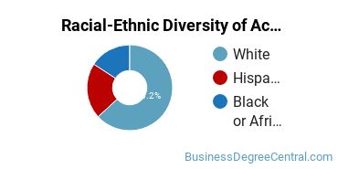Racial-Ethnic Diversity of Accounting Technology/Technician and Bookkeeping Majors at Housatonic Community College