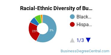 Racial-Ethnic Diversity of Business & Office Technology Majors at Houston Community College