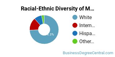 Racial-Ethnic Diversity of Marketing/Marketing Management, General Majors at Idaho State University