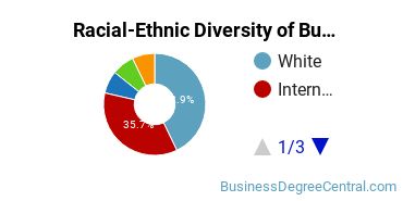 Racial-ethnic diversity of Business Administration & Management majors at Illinois Institute of Technology