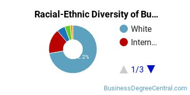Racial-ethnic diversity of Business Administration & Management majors at Illinois State University