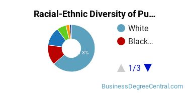 Racial-Ethnic Diversity of Public Relations Majors at Illinois State University