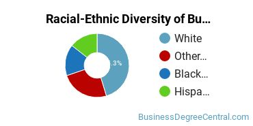 Racial-Ethnic Diversity of Business Administration & Management Majors at Independence University