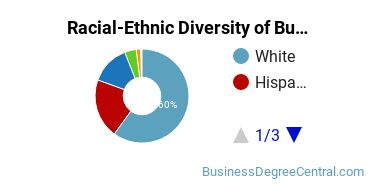 Racial-ethnic diversity of Business Administration & Management majors at Indian River State College