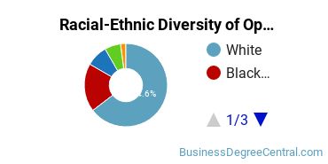 Racial-Ethnic Diversity of Operations Management Majors at Indiana University - Purdue University - Indianapolis