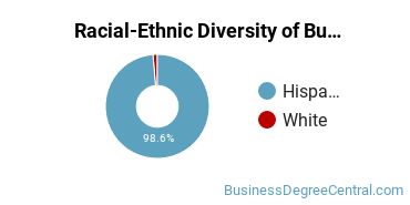 Racial-ethnic diversity of Business Administration & Management majors at Inter American University of Puerto Rico-Ponce