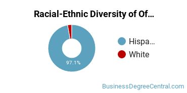 Racial-Ethnic Diversity of Office Administration Majors at Inter American University of Puerto Rico - Ponce