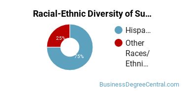Racial-Ethnic Diversity of Supply Chain Management Majors at Inter American University of Puerto Rico - Ponce
