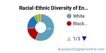 Racial-Ethnic Diversity of Entrepreneurship Majors at Johnson & Wales University - Providence