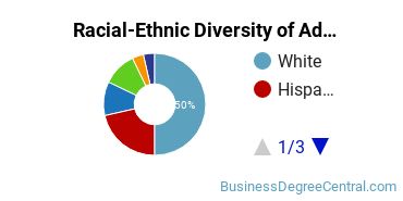 Racial-Ethnic Diversity of Advertising Majors at Johnson & Wales University - Providence