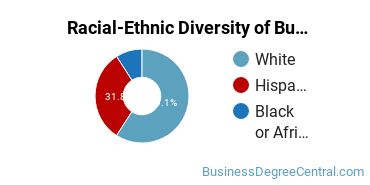 Racial-ethnic diversity of Business Administration & Management majors at Joliet Junior College