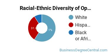 Racial-Ethnic Diversity of Operations Management Majors at Joliet Junior College