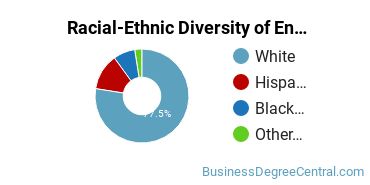 Racial-Ethnic Diversity of Entrepreneurship Majors at Kansas State University