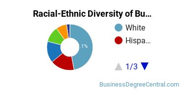 Racial-ethnic diversity of Business Administration & Management majors at Kean University