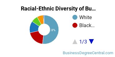 Racial-ethnic diversity of Business Administration & Management majors at Kennesaw State University
