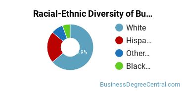 Racial-ethnic diversity of Business Administration & Management majors at King's College