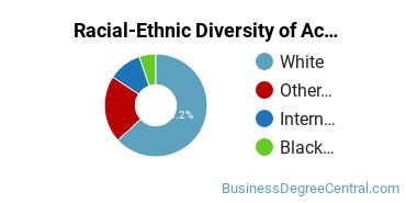 Racial-Ethnic Diversity of Accounting Majors at La Roche College