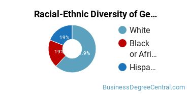 Racial-Ethnic Diversity of General Business/Commerce Majors at Lamar State College - Orange