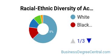 Racial-Ethnic Diversity of Accounting Majors at Lamar University