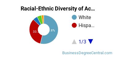 Racial-Ethnic Diversity of Accounting Technology/Technician and Bookkeeping Majors at Lanier Technical College